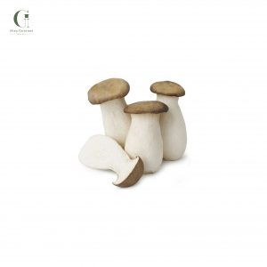 Nấm đùi gà